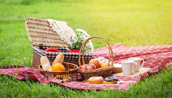 Día Mundial del Pícnic 2023: ¿qué es y por qué se celebra el 18 de junio? | En esta nota te contaremos todo lo que debes conocer sobre esta efeméride que es una perfecta oportunidad para salir de la rutina y respirar aire fresco. (Foto: Shutterstock)