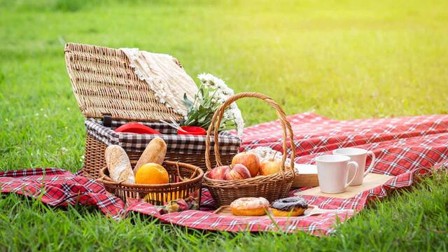 Día Mundial del Pícnic 2023: ¿qué es y por qué se celebra el 18 de junio?