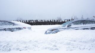 Lo que dicen los pronósticos: ¿cuánta nieve caerá este fin de semana en Nueva Jersey?