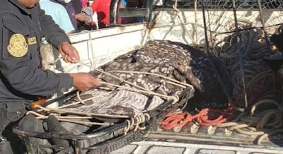 Aprueban protocolo para el manejo de restos humanos en emergencias y desastres