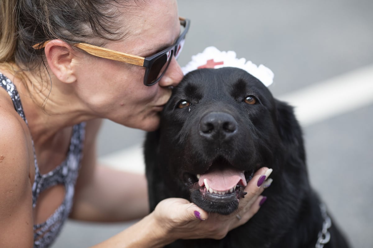 Al margen de la raza de los perros, todos necesitan que respeten y cuiden con mucho cariño (Foto: AP)