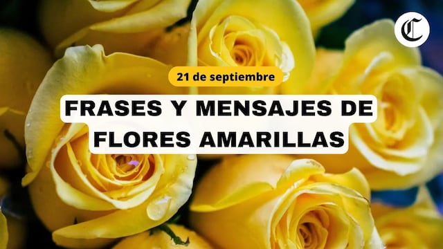 Mensajes y tarjetas para dedicar con flores amarillas. FOTO: Composición EC.