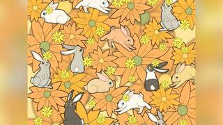 ¿Tienes una visión aguda? Descubre la zanahoria oculta en este desafío en solo 11 segundos