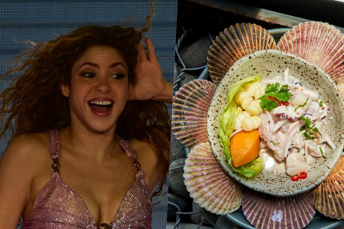 Shakira debió postergar una de las dos fechas que tenía en Lima debido a un dolor abdominal. (Fotos: Agencias)