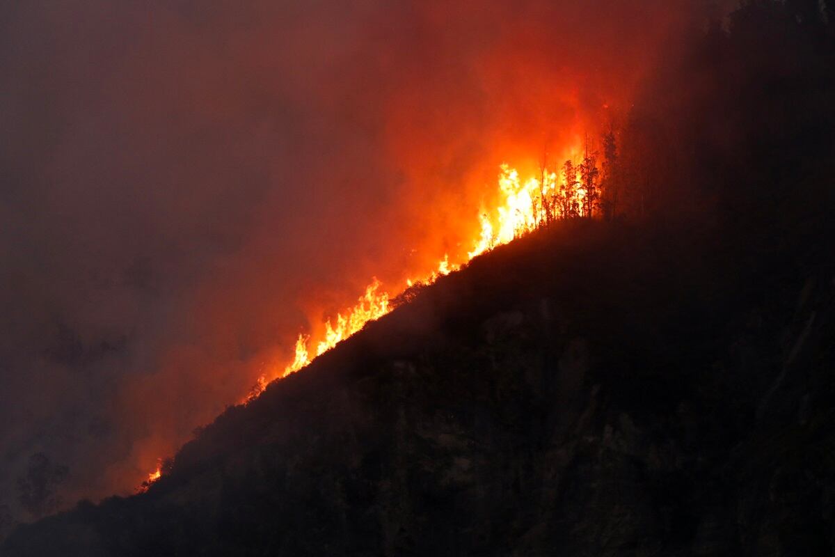 Una colina arde durante un incendio forestal en Quito, el 24 de septiembre de 2024. (Foto de Galo Paguay / AFP)