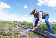 Puno: proyectos de riego tecnificado elevan la productividad de familias agricultoras