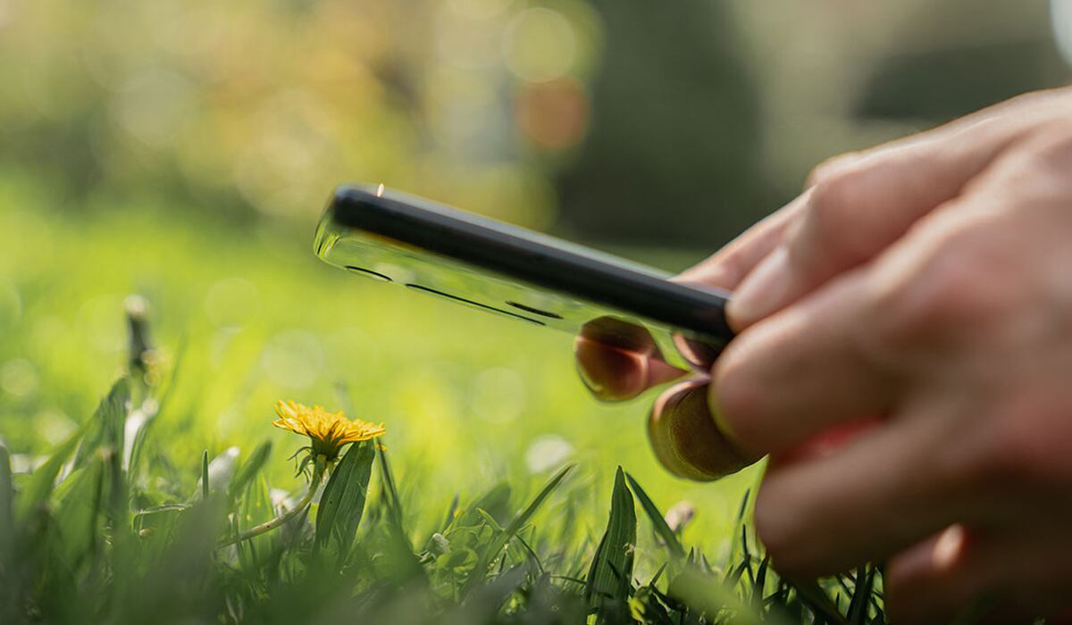 ¿Quieres tomar una fotografía macro con tu dispositivo a un objeto y que este salga nítido? Prueba este truco. (Foto: Motorola)