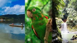 Tarapoto: 10 actividades por hacer en este destino