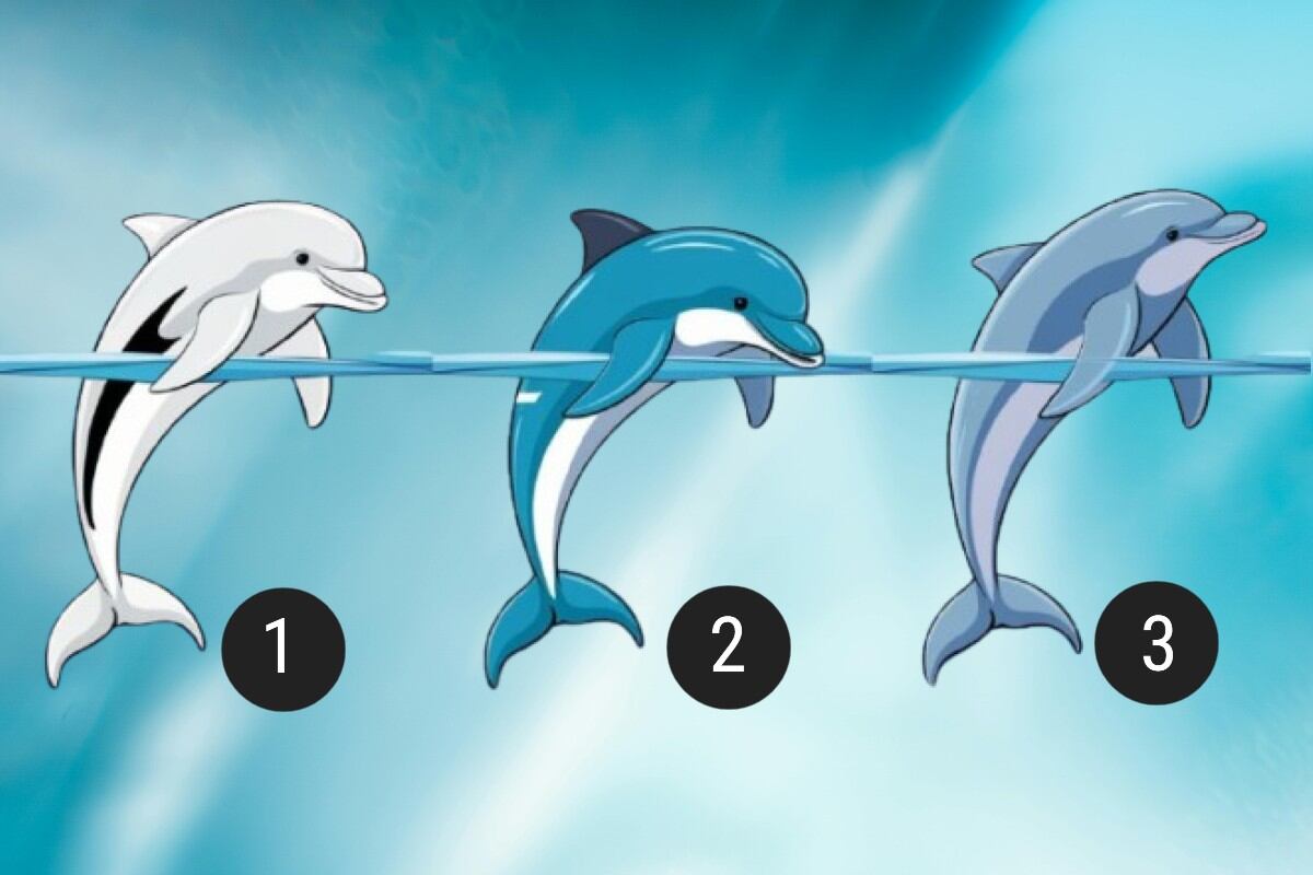 Elige uno de los delfines en esta imagen para descubrir qué tipo de inteligencia posees en este momento de tu vida. (Imagen: Mag)