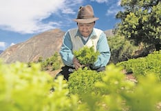 Tribunal Constitucional ordena al MEF emitir una nueva metodología para el pago de los bonos de la deuda agraria