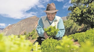 Bonos agrarios: decisiones constitucionales