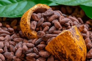 BCRP: exportaciones no tradicionales agrarias totalizaron US$11.151 millones en 2024