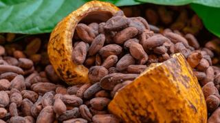 BCRP: exportaciones no tradicionales agrarias totalizaron US$11.151 millones en 2024