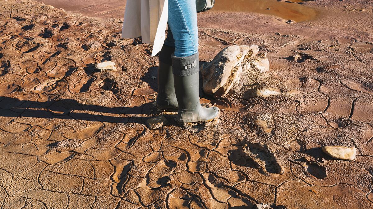 Los dos países latinoamericanos que podrían quedarse sin agua en los próximos años | Foto: Freepik