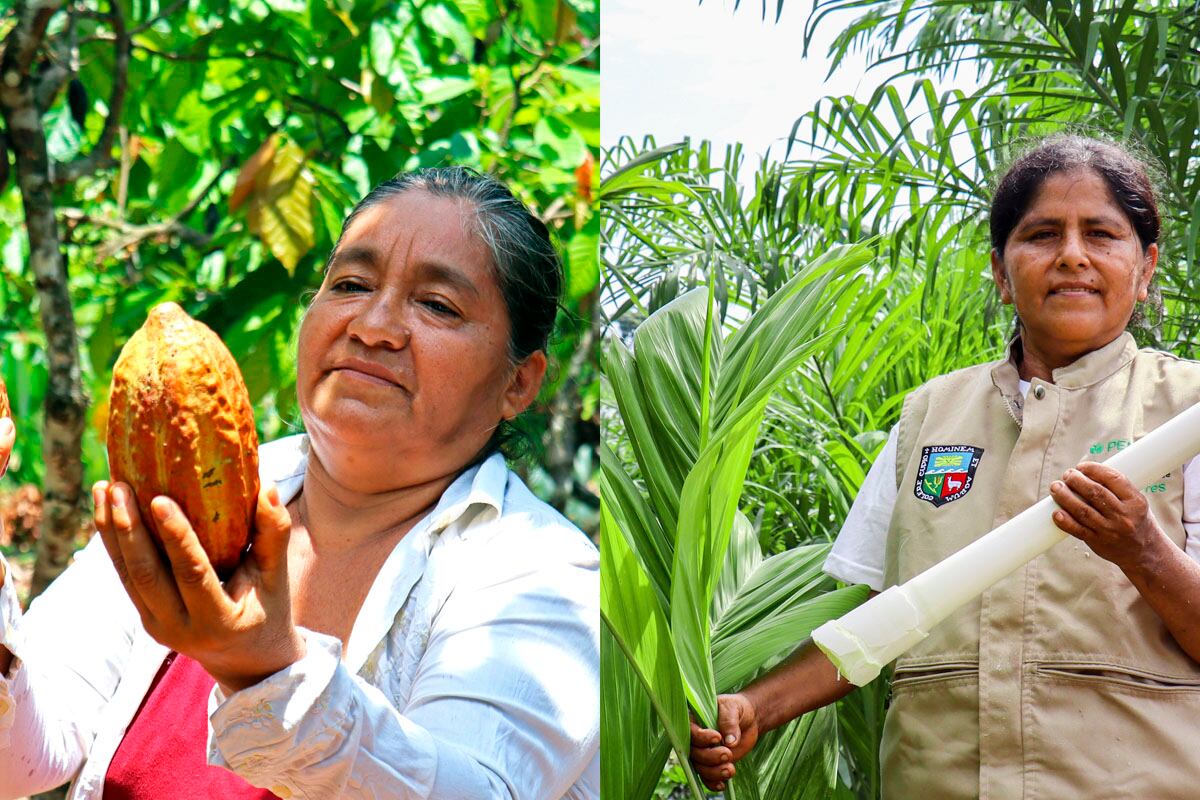 Ambas mujeres son egresadas de las Escuelas de Campo de Agricultura (ECA) que impulsa en la región San Martín PERU-Hub. Foto: PERU-Hub