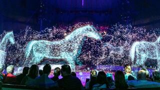 El circo que implementa hologramas en vez de animales para evitar maltrato