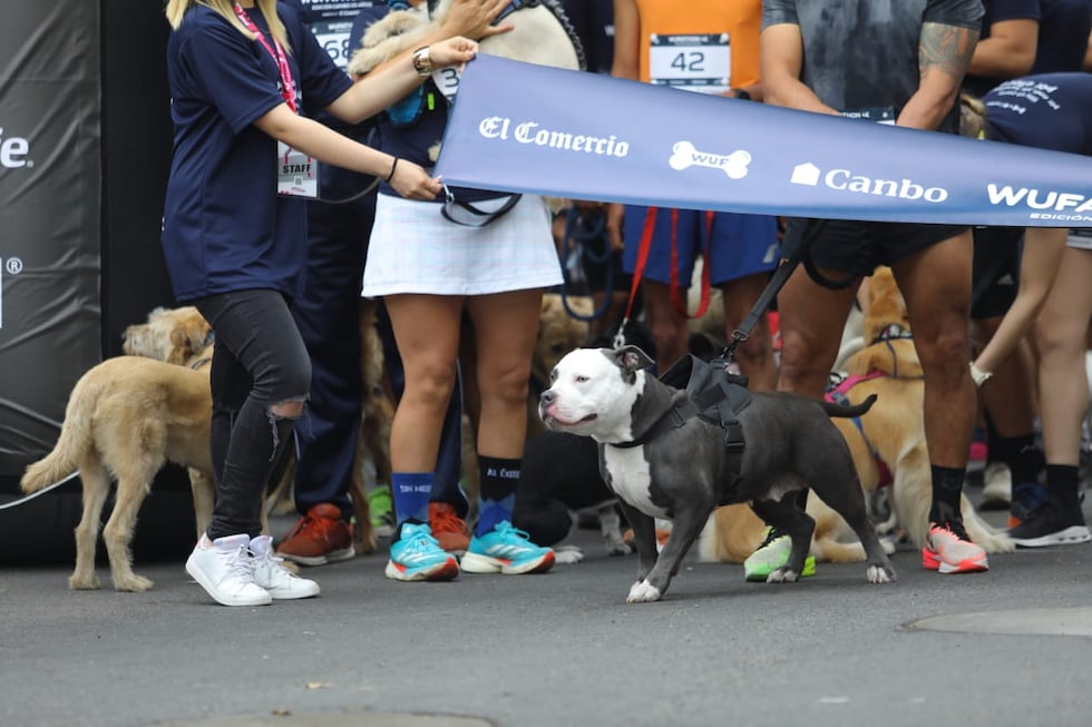 La Wufathon 4K 2025 en las calles de Barranco tuvo gran acogida. La jornada deportiva sirvió para que cientos de participantes compartieran con sus mascotas. (Foto: Antonio Melgarejo/ @photo.gec)