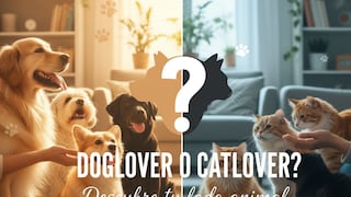WUF: Descubre si eres un doglover o un catlover