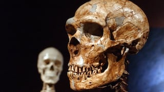 El ADN de neandertal persiste en los seres humanos