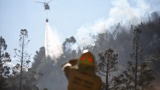 Combaten incendio que ya arrasó casi 600 hectáreas en parque nacional de Argentina