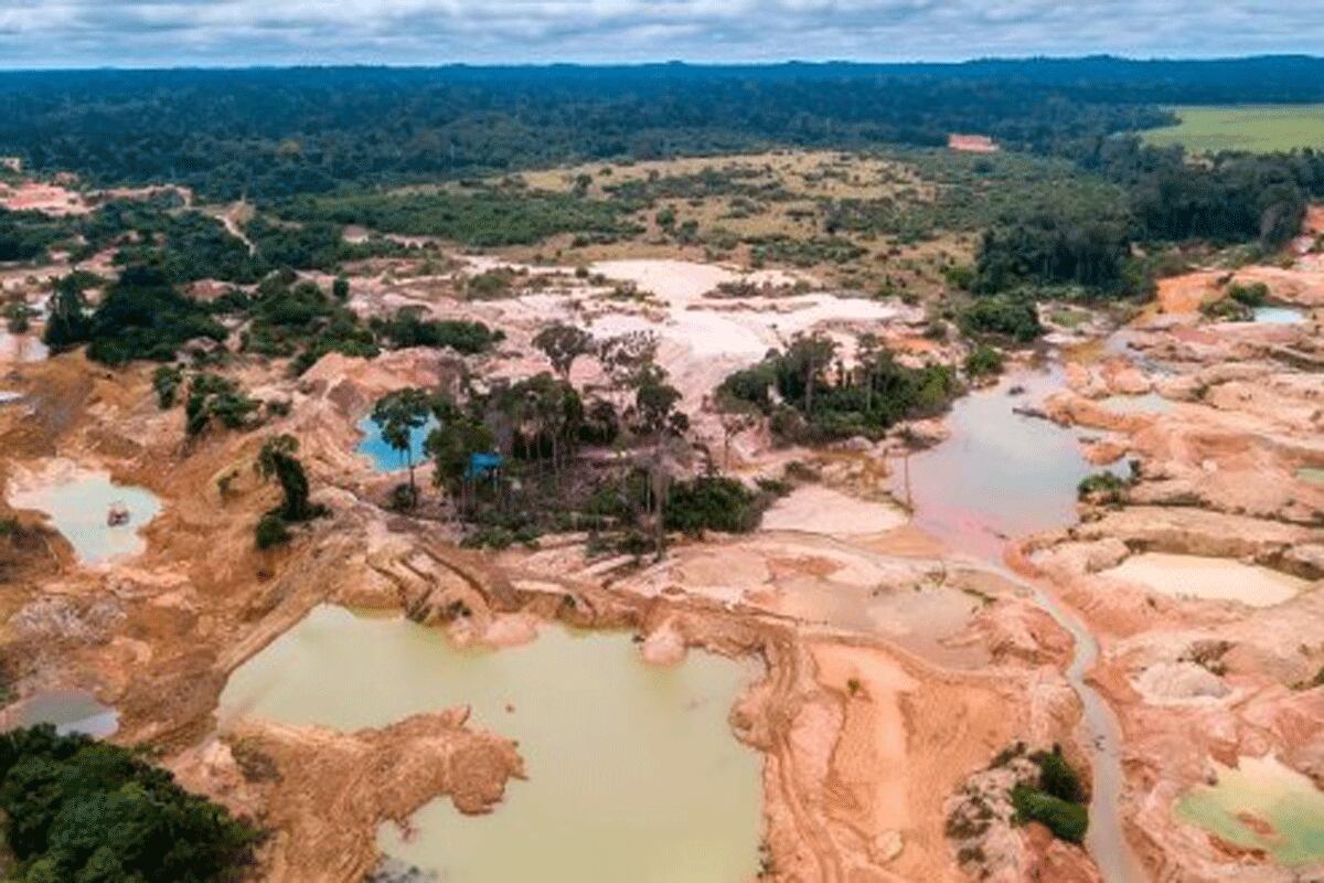 El Reinfo abre las puertas a la ilegalidad, que es causante de atentados y abusos continuos a los derechos humanos. Foto: GEC.