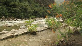 Machu Picchu: incendio consumió casi una hectárea de pastos en central hidroeléctrica