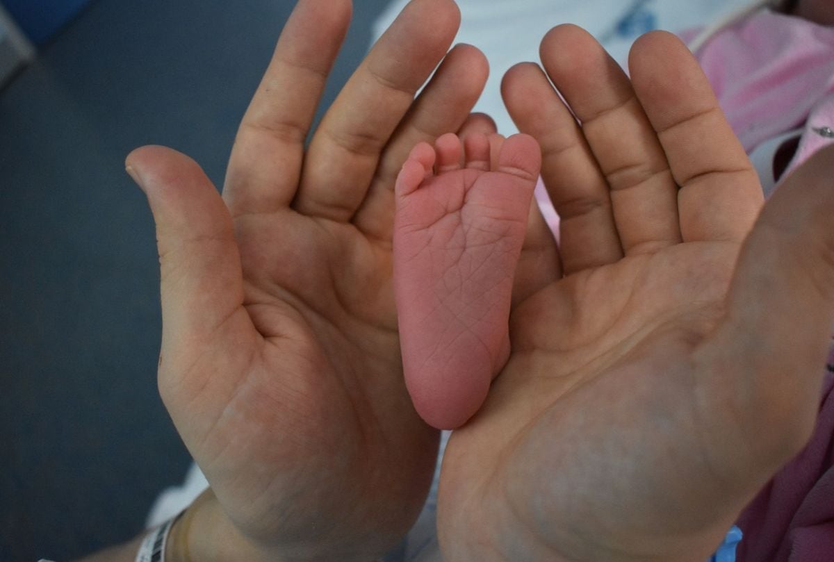 Las familias que buscan recibir ese crédito tributario deben cumplir varios requisitos, ya que no todos los que tiene hijos obtendrán el monto (Foto: Pixabay)