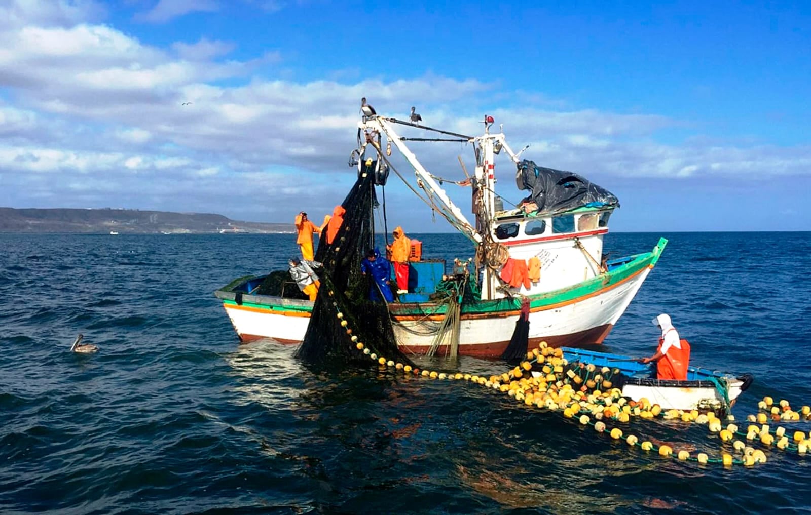 Ministerio de la Producción declara en emergencia la pesca y la acuicultura
