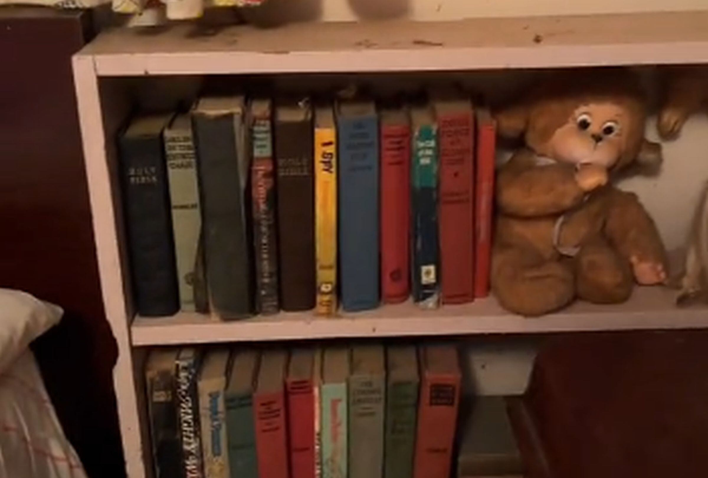 En esta imagen aparecen varios libros y un peluche de la hermana de Nicole Chalawich. (Foto: @treevibenana / TikTok)