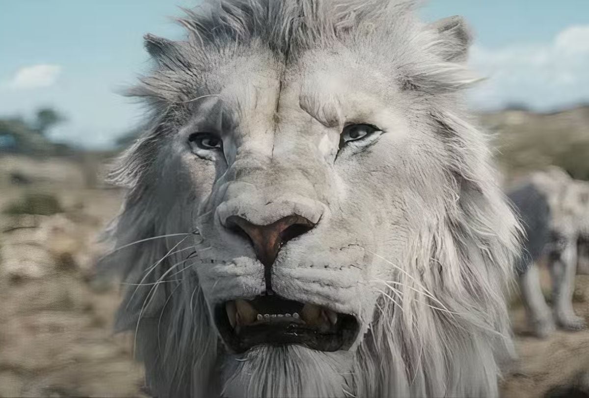Los leones blancos en "Mufasa: El rey león" son los antagonistas de la película (Foto: Walt Disney Pictures)