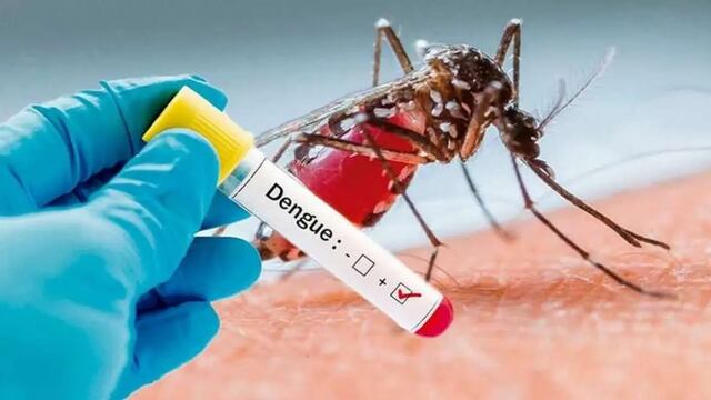 ¿Qué se sabe del posible rebrote de dengue en Caracas?