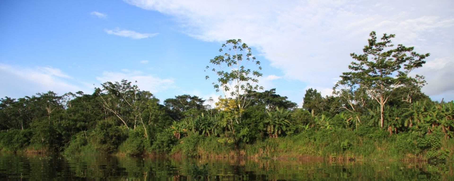 ¿Cómo trabajan los guardaparques?: el testimonio de quienes protegen la Reserva Nacional Allpahuayo Mishana