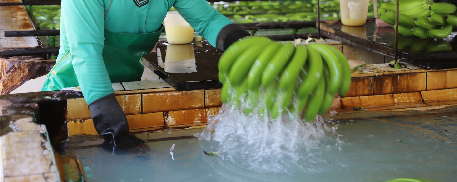 Exportaciones peruanas crecen un 1,1% en 2023: ¿Qué sectores impulsaron el crecimiento?