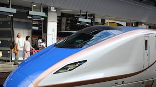 Cómo una pequeña babosa pudo paralizar una moderna red ferroviaria en Japón