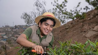 El chico de las plantas, oleajes anómalos en la costa y la poca respuesta de los gobiernos regionales