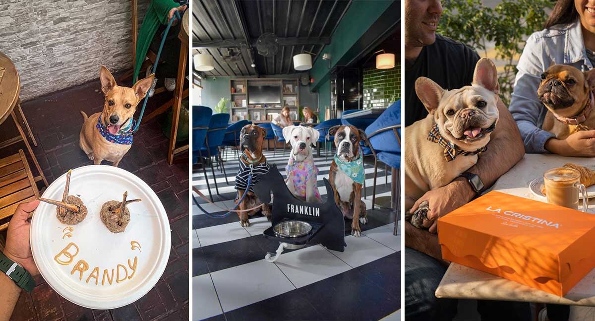 Cinco lugares para que además de disfrutar una buena comida, puedas estar con tu mascota.