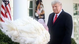 Donald Trump indulta a su último pavo en la Casa Blanca y no menciona nada de su derrota | FOTOS