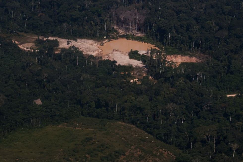 Desde el aire se puede observar la cercanía entre la minería ilegal y los cultivos ilícitos de coca. Foto: Santiago Romaní