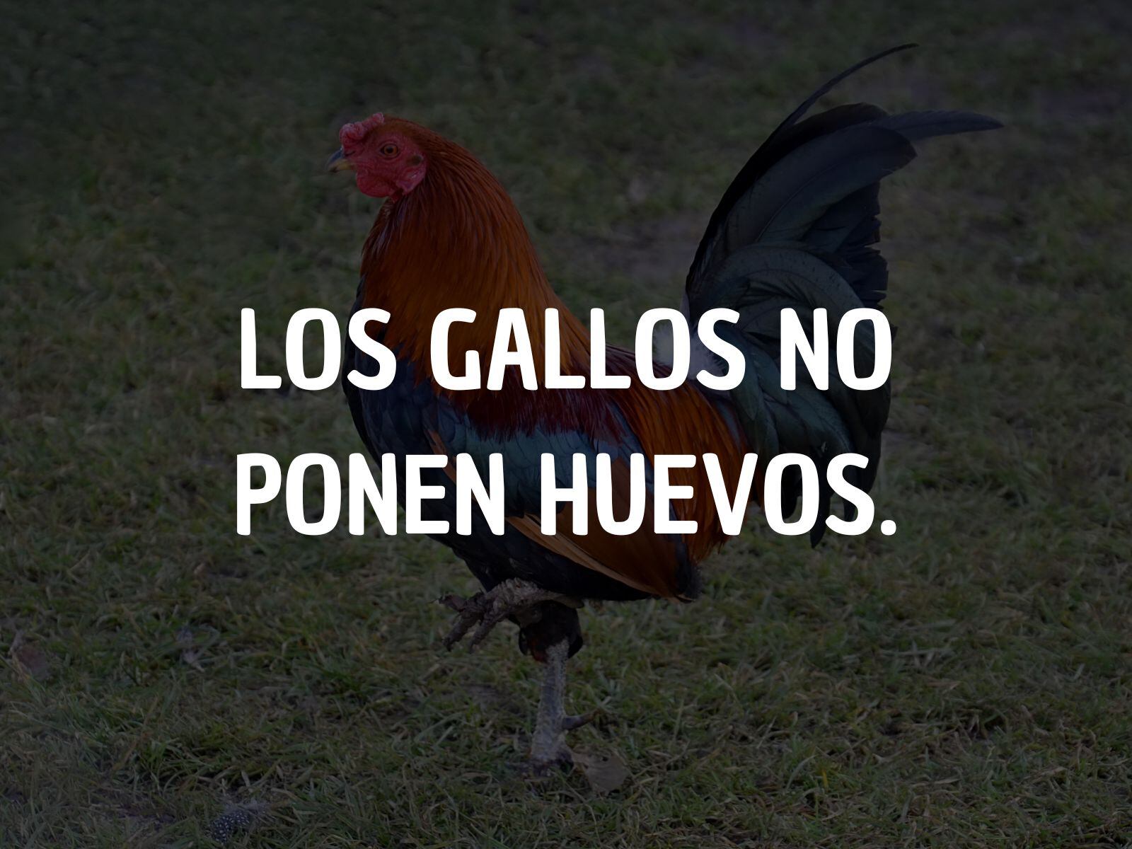 Acertijo mental: ¿Respondiste correctamente este enigma o te equivocaste? (Creación: Mag)