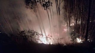 Áncash: reportan incendio forestal en la provincia de Sihuas