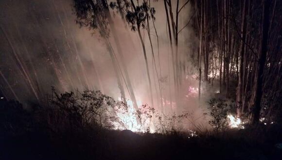 Incendio forestal consume pastos naturales en la provincia de Sihuas, en Áncash. (Foto: Andina)