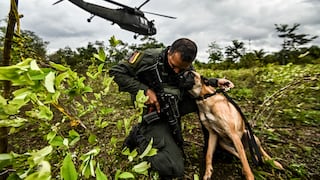 Colombia sin aval antidrogas de EE.UU.: ¿qué implica y qué responsabilidad recae en Gustavo Petro?