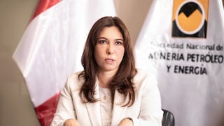 “El Tribunal Constitucional tiene la oportunidad de concluir con el Reinfo este año”