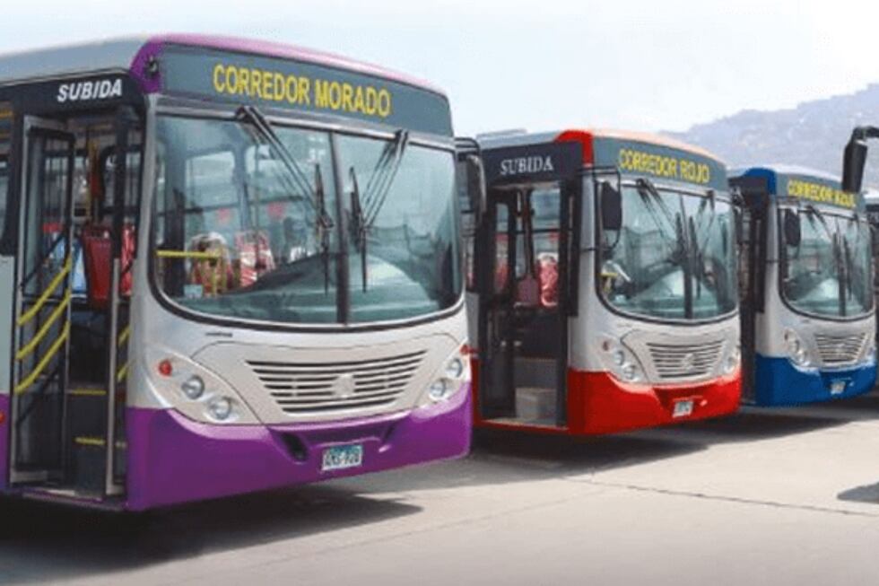 El presidente de la Junta de Operadores del Corredor Morado indicó que los corredores complementarios de Lima Metropolitana solo operarán hasta el 30 de junio. (Foto: Municipalidad de Lima)