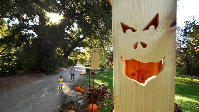 Dos canadienses son arrestados por dar caramelos de cannabis a niños que pedían dulces en Halloween