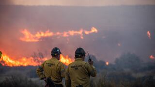 ¿Por qué a California le cuesta más recuperarse de los incendios forestales?