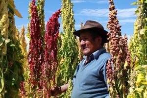 Agro a la vuelta de la esquina