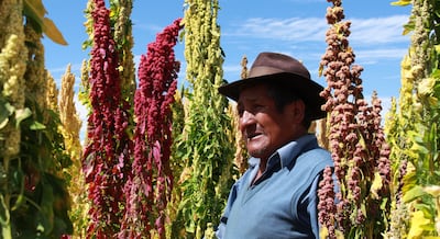 Agro a la vuelta de la esquina