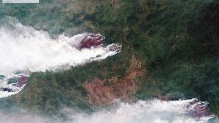 Incendio en Siberia: Tres millones de hectáreas de bosques arden en Rusia | VIDEO