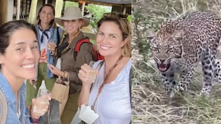Katia Condos, Almendra Gomelsky y Gianella Neyra pasan el susto de sus vidas durante un safari | VIDEO